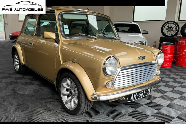ROVER MINI